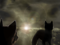 passage_temporary_cover_by_lunakia-d5sgoen.png